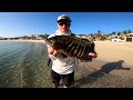 Fishing Mexican Beaches for AWESOME FISH! (Part 2/3)