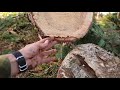 This Technique Could Save Your Chainsaw