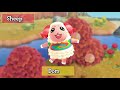 Most LOVED & HATED Villager From Every SPECIES - Animal Crossing New Horizons [January 2021]