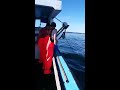Maine Lobstering 2018