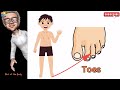 Parts of the Body for Kids | Learn Body Parts with Spellings | My Body Vocabulary | FSKTV