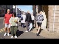 A Walk Around a Scottish Seaside Market Town