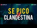 •🔥 SE PICO LA CLANDESTINA 4 🔥• | ALTA JODA | FIESTA 2021 | LO MEJOR | - DJ Cu3rvo