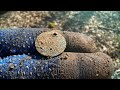 Metal Detecting Next To A Road To Melbourne!