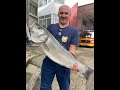 Trolling : 5.630 kg-Brancin - Levrek (sea bass) - Guiding fishing trip -Charter fishing- 25.06.2024