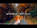 Falling Leaves 🍁 - An Autumn Aesthetic Indie/Folk/Acoustic Playlist