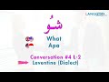 Standard Arabic vs dialect Conversation