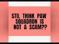 What is going on here Paw Squadron???