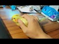 Petting my cockatiel for two minutes