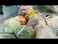 Budget Grocery Haul for Under $300 | Will this Feed 5 People for Two Weeks?? | ASMR Food Restock