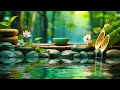 Bamboo Water Fountain & Relaxing Piano Music 🌿 Calm Music for Relaxation and Deep Sleep