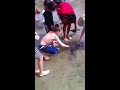 Giant Squid found on beach