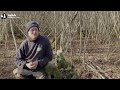 What is coppicing and why is it important? - Suffolk Wildlife Trust