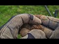 It LOVES coins! | Nokta Simplex Ultra | UK Metal Detecting Hunt | Settings | VDIs | Episode 215