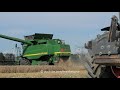 Tarwe dorsen door Te Winkel Agro | John Deere 9780i | Fendt 828 | Weizen dreschen | Wheat harvest