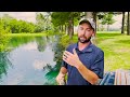 How To Harvest Fish In Your Pond | A Fisheries Biologist's Perspective