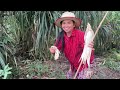 Steamed fish roe and egg with krasang