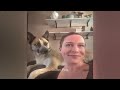 😹 Best Cats Videos 🙀🙀 Best Funny Animal Videos 2024 😍