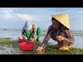 Độc Đáo Đi Trên Biển Ở Phú Yên Mùa Biển Cạn Người Dân Đổ Ra Biển Bắt Cá Bắt Ốc