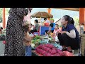 Girl harvesting red dragon fruit goes to the market sell - Gardening | Ly Thi Tam