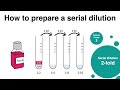 How to prepare a Serial Dilution