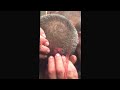 Good friend of mine popping a massive abscess on his head!Pus squirting on mirror! Great fun! Watch!