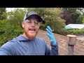 How To Clean Roof Moss The Eco Friendly Way