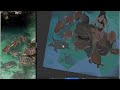 procreate painting process ♡ turtles