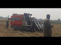 Rice Harvesting | Village Life