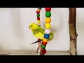 Cuteness Overloaded!! Happy budgies dancing & playing for lonely pets ❤️#budgies #parakeet #parrot