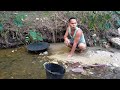 lobang pencarian sarang emas di sungai kecil