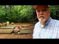 Creepy Open Well Found In The Old Slave Cemetery! Boddie Plantation Cemetery - St John CME Graveyard