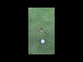 IRL WII SPORTS GOLF MOMENT
