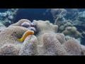 Freediving Lusong Gunboat | Coron Philippines | GoPro