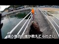 【穴釣り】超浅瀬で穴釣り❤️おもちゃ王国バージョン！！ｉｎ岡山！！hole fishing