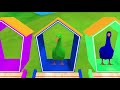 Long Slide Game With Elephant Gorilla Buffalo Hippopotamus Tiger - 3d Animal Game - Funny 3d Animals