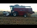 Mietitura Sorgo (Old Style) #29 con FiatAgri Laverda L521 MCS - Sorghum Harvest - Combine - Комбайны