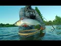 All About American Shad Fishing from the Bank (Lower American River)