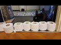 The Toilet Paper Challenge! Bunny Edition!