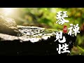 古琴名曲 琴禅见性 加长完整版 太极 禅意音乐 修身养性的好音乐 放下烦恼享受这一刻