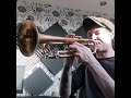 Bags Groove - Miles Davis Solo