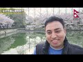 「日本でとてもイイ体験をしている！」花見中の外国人に日本の印象を聞いてみた！【外国人インタビュー】【海外の反応】【花見】