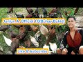 How important is it to give vitamins to our native chicks?/Junjun A. Official 1.0(Buhay Bukid)