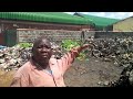 Smelly rubbish heap at Chelson Market in Lusaka, Zambia cleared after more than one month