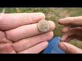 Back in the dirt finding old silver, Metal Detecting