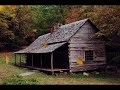 Appalachian man surrounded by wild dogs lives to share his tale#appalachia#mountains#hills