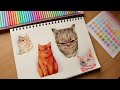 SKETCH SOME CATS WITH ME! - using markers and colour pencil to draw some cats! also I talk a lot
