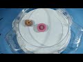 Make a Beyblade burst Top from Sunsilk Bottle | Use less plastic bottle Beyblade Top