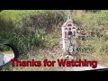 An african Tortoise,a dog barking,beautiful houses,on the Top of a Greek mountain.