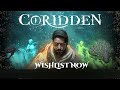 Coridden [PC] Steam Playtest Coming Soon!